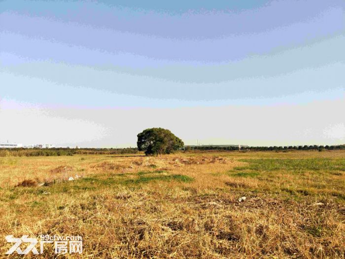 Land sale and land investment in Suzhou苏州土地出售、土地招商
